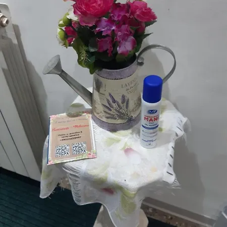 Elena Bed & Breakfast *